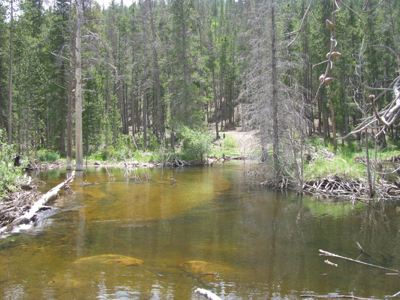 Property photo 23 - Get Lost in the Pristine Northern Colorado Rockies - Prime Building Sites